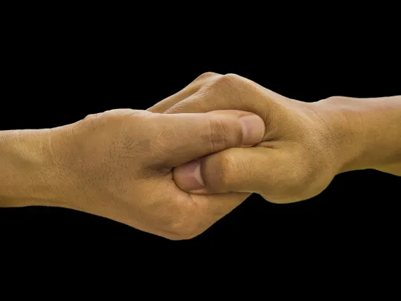 BlueFox Casino Assistance